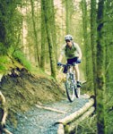 Mountain biking for a stag do